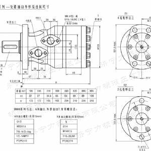 BMH系列交错油口华体会体育马达
